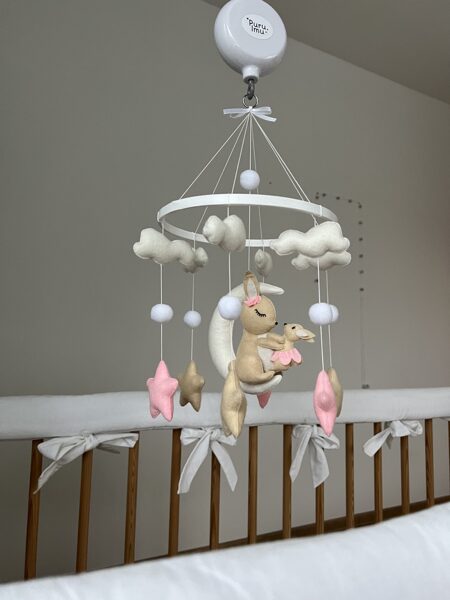 Kiškutis su mini kiškeliu